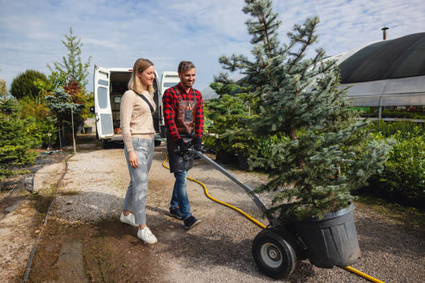 Best Tree and Shrub Care  in Green Island, NY